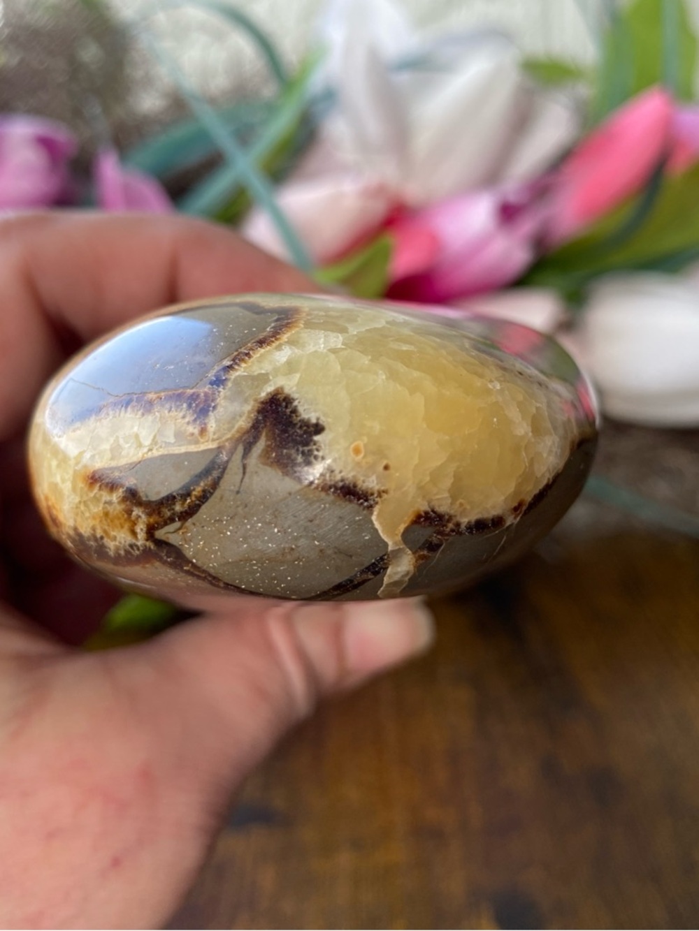 Septarian Freeform - Picture 9 of 12
